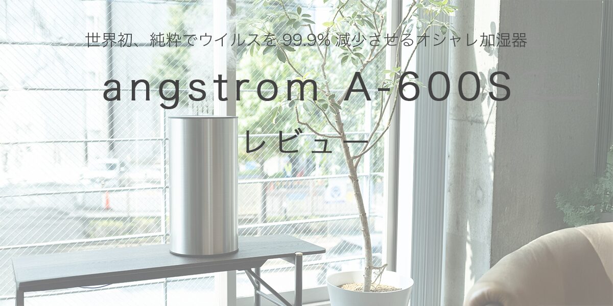 angstrom A-600Sの記事のアイキャッチ